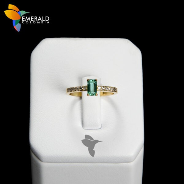 ANILLO CELESTE