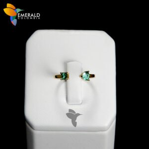 ANILLO NOA